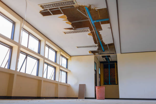 Best Flood restoration services  in Thorndale, TX