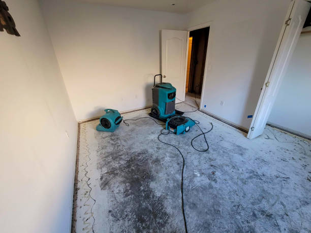 Best 24/7 water damage repair  in Thorndale, TX