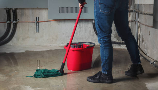 Best 24-hour water damage restoration  in Thorndale, TX
