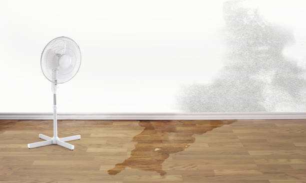  Thorndale, TX Water damage restoration Pros