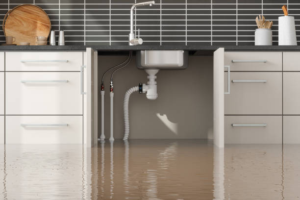 Best Water damage contractors near me  in Thorndale, TX