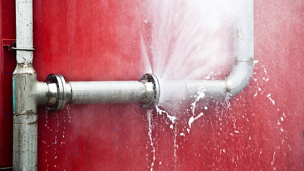 Best Local water damage restoration  in Thorndale, TX